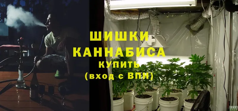 цена наркотик  Тимашёвск  Канабис Ganja 